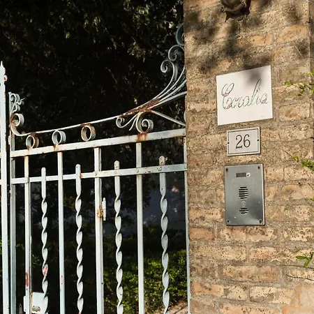 Coralia D'epoca Osimo