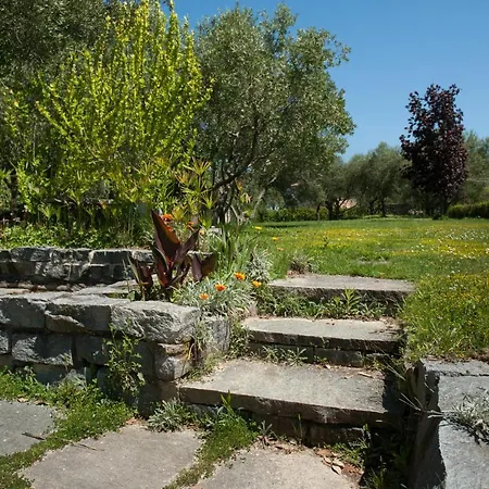 Coralia D'epoca Villa Osimo